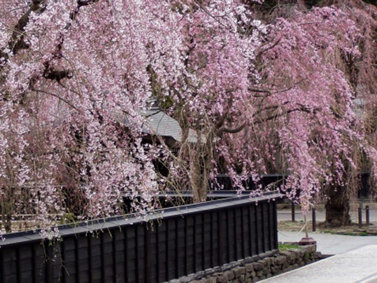 Tamachi Bukeyashiki Hotel - Vacation Stay 20163V Daisen  Luaran gambar
